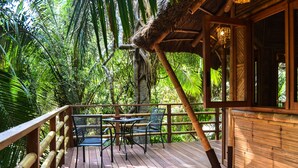 Um deck de madeira com mesa e cadeiras, cercado por vegetação exuberante e uma estrutura com telhado de palha.