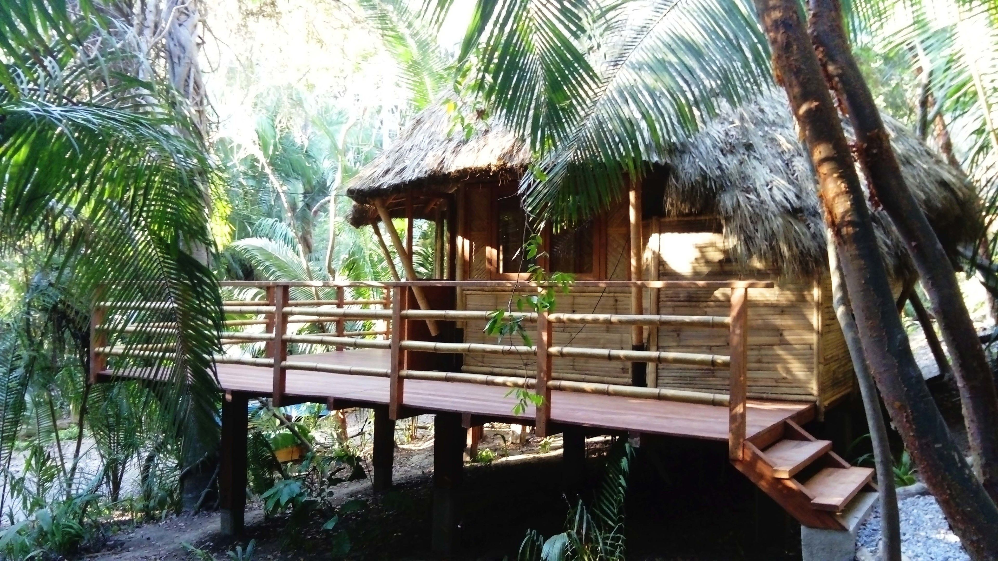 A wooden structure with a thatched roof, elevated on stilts, surrounded by lush greenery.