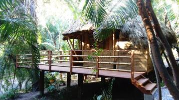 A wooden structure with a thatched roof, elevated on stilts, surrounded by lush greenery.