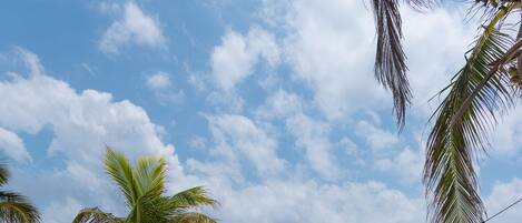 A la platja i platja de sorra blanca