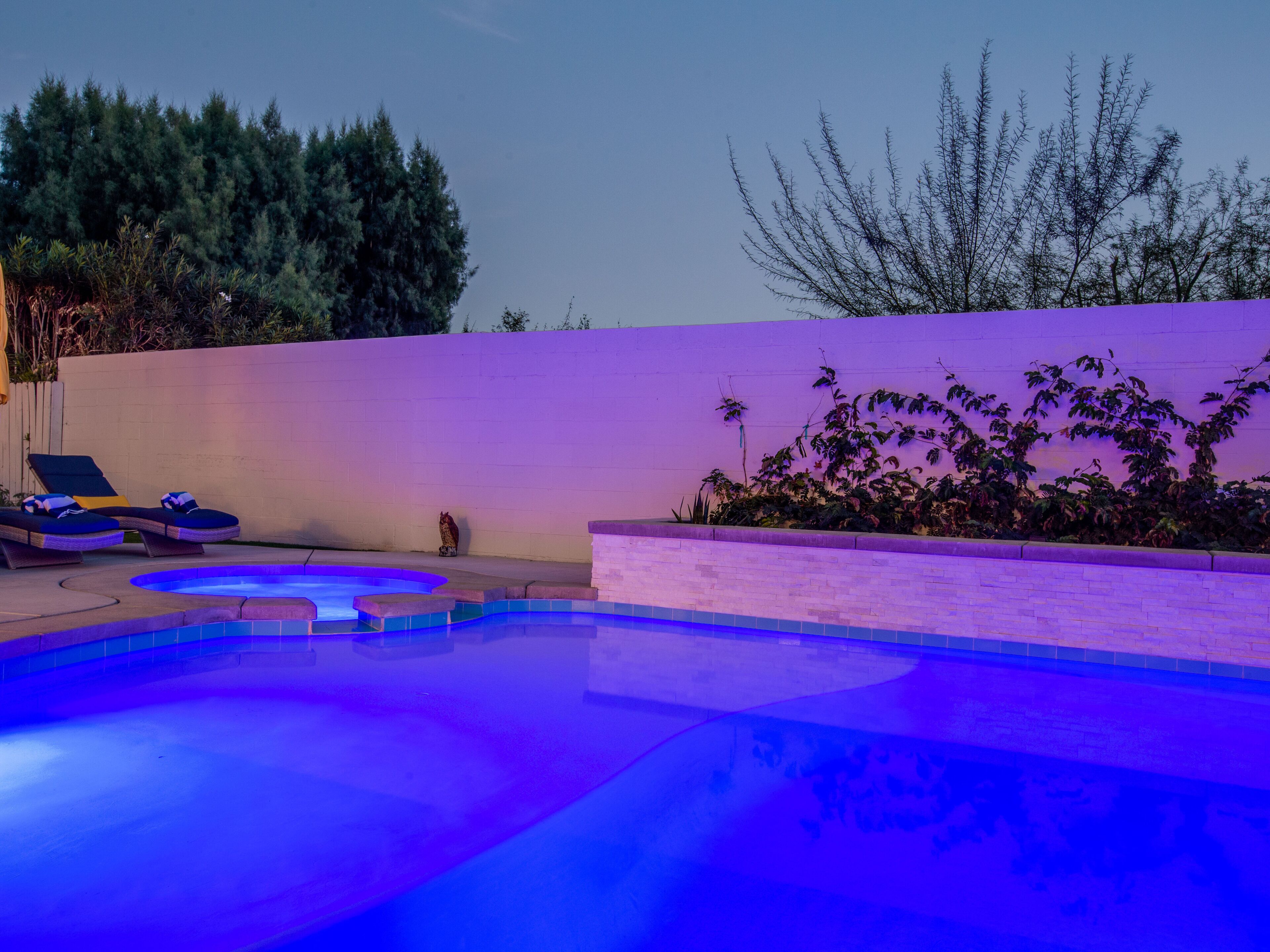 Una piscina con idromassaggio, lettini e un muro di mattoni con piante.