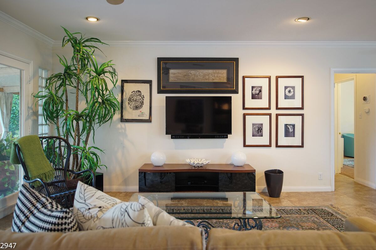 A living room with a sofa, a coffee table, a TV, framed pictures, and a large plant.