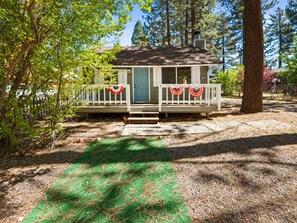 A small cabin with a porch, surrounded by trees and a green mat in front.