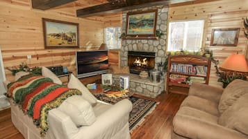 TV, fireplace, DVD player