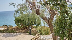 A paved outdoor area with a view of the sea, surrounded by trees and shrubs. - A BALCONY WITH AMAZING SEA VIEW (CHIOS)