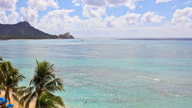 A beach with clear turquoise water, palm trees, and a mountain in the background.