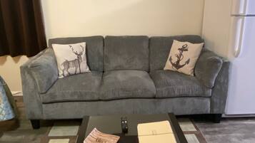 Smart TV, fireplace, DVD player, streaming services