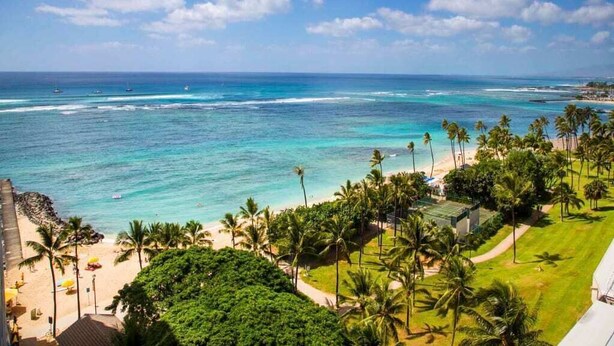 Une vue sur la côte, avec une plage, des palmiers et l’océan.