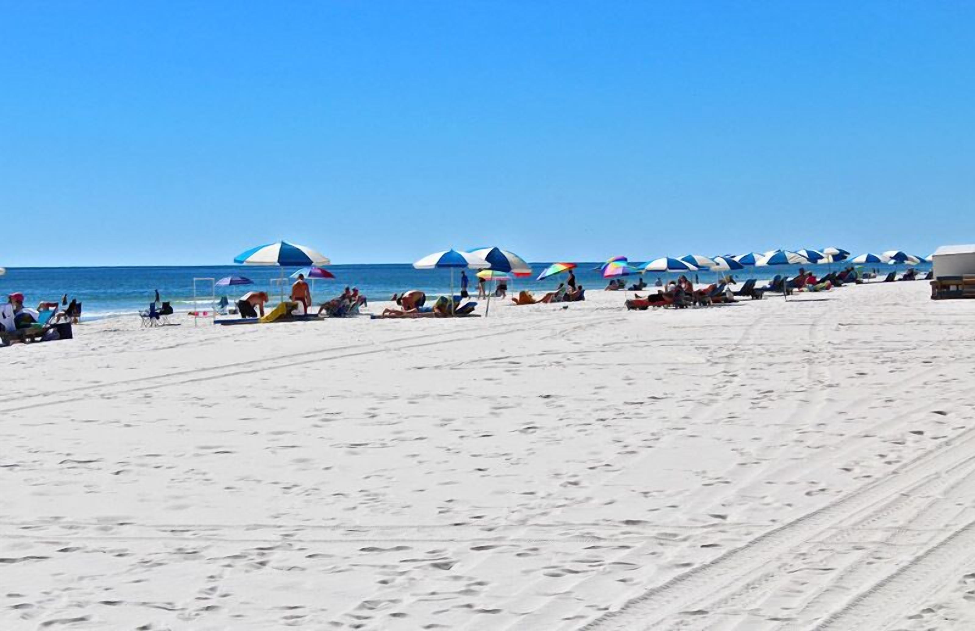Uma praia com fileiras de guarda-sóis e espreguiçadeiras.