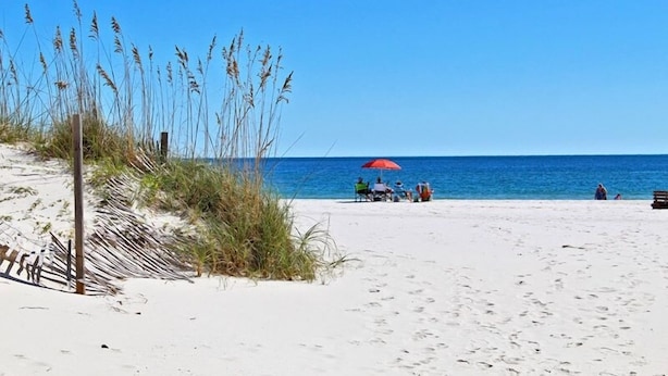 Une plage de sable blanc, bordée d’herbes hautes, sous un ciel bleu et dégagé.
