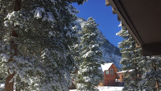 Paisagem coberta de neve com uma cabana de madeira e árvores.