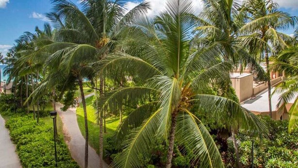 A pathway lined with palm trees and lush greenery, leading to a building with a flat roof. - Tropical Family Pick w/Kitchen Ease, Free WiFi, Washer/Dryer–Waikīkī Shore 318 (HONOLULU)