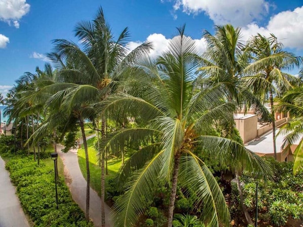 Property grounds - Tropical Family Pick w/Kitchen Ease, Free WiFi, Washer/Dryer–Waikīkī Shore 318 (HONOLULU)