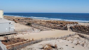 Vista costeira com praia arenosa, área cercada com vegetação rala e céu azul límpido.