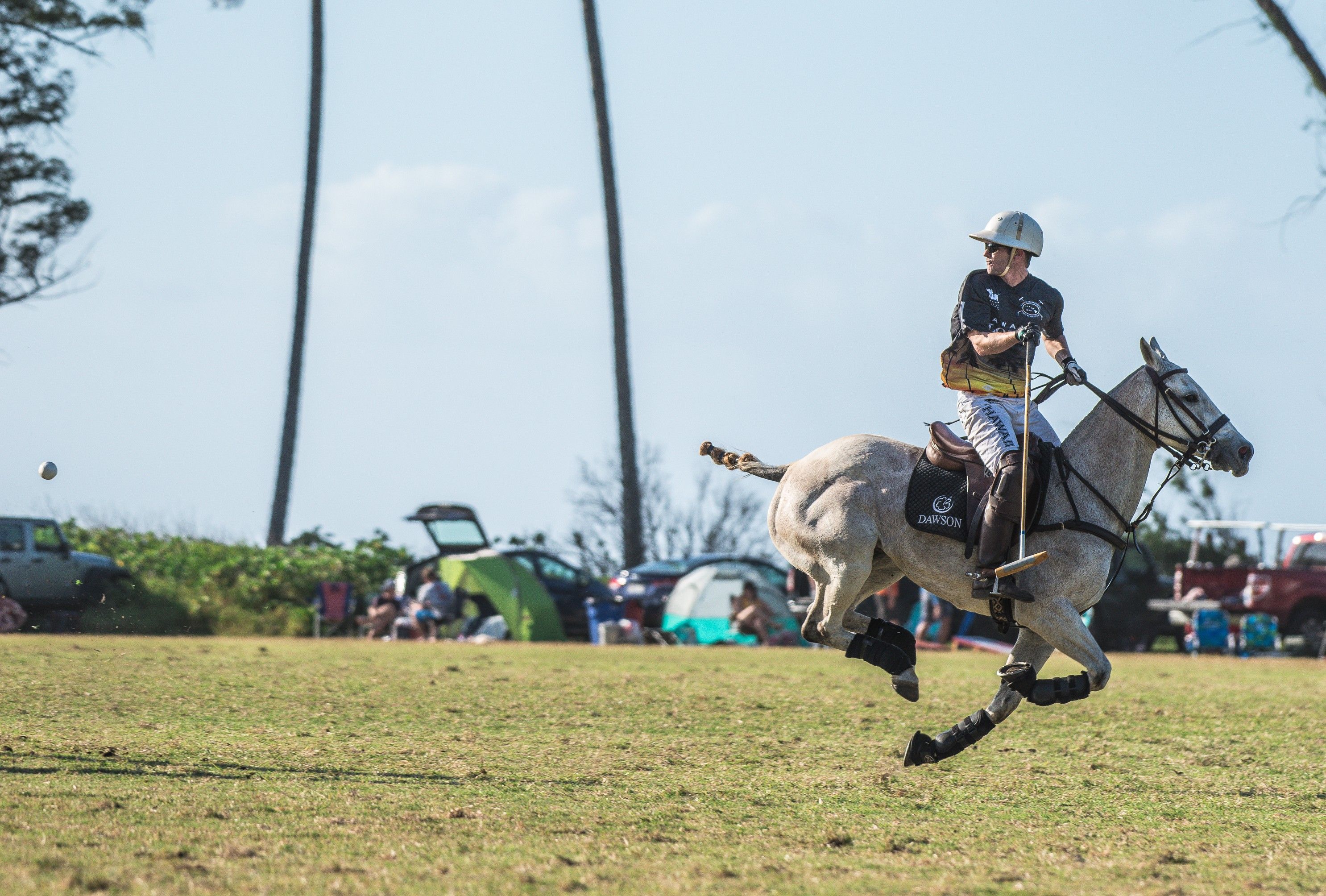 Een persoon te paard in een open landschap, met tenten en voertuigen op de achtergrond.