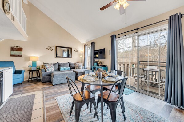 TV, video games, DVD player, books