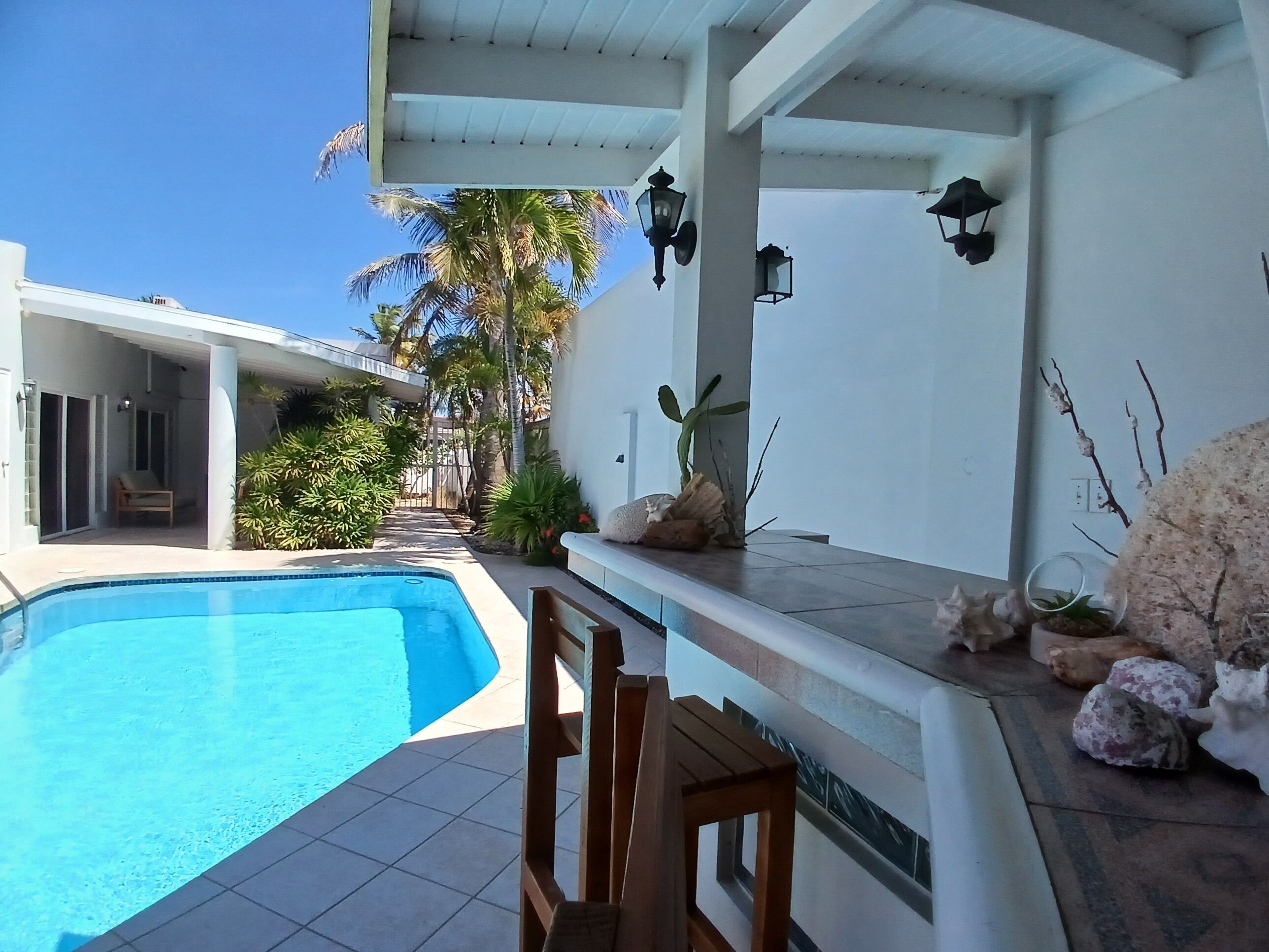 Outdoor pool, sun loungers