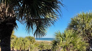 A coastal view with palm trees and a wooden staircase leading to a building. - FREE ACTIVITIES & A gorgeous ocean view unit ready for your enjoyment. (Saint Augustine)
