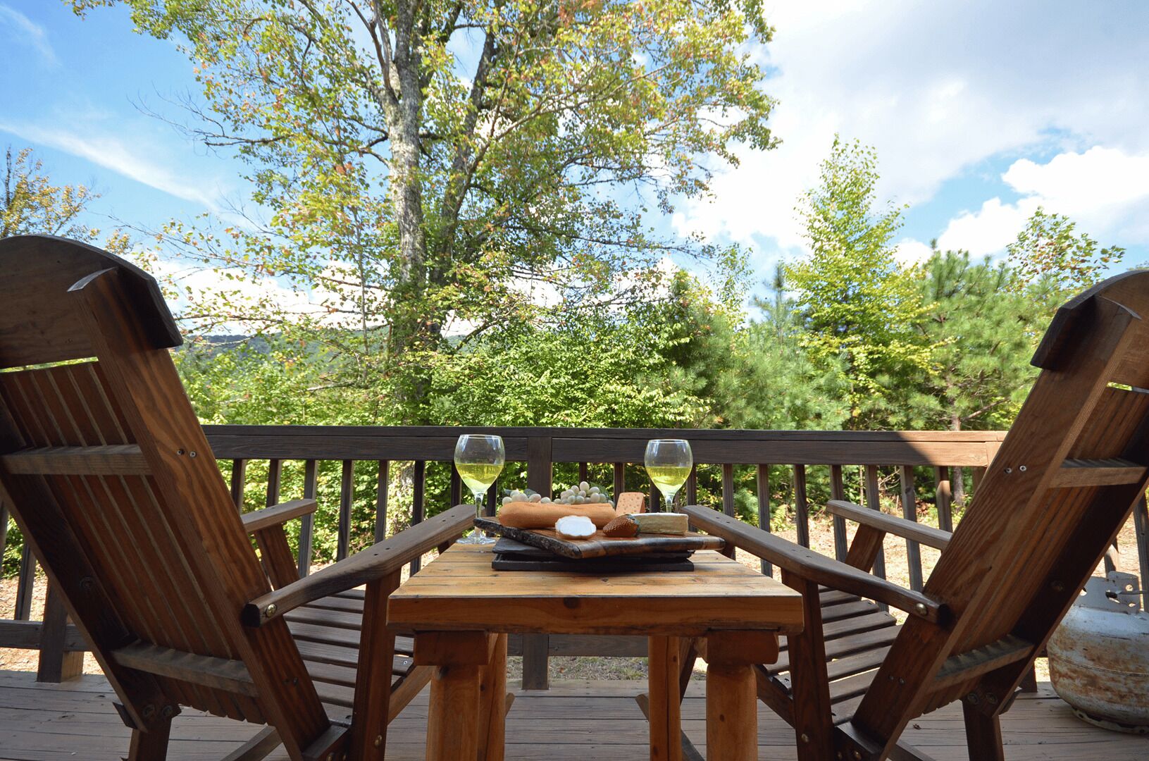 Ledbetter Ridge - Free Brewery Tours +Secluded Cabin w/Easy Access to Tail of