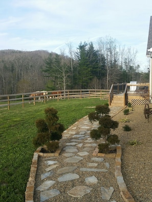 A fenced outdoor area with a stone pathway leading to a wooden deck.