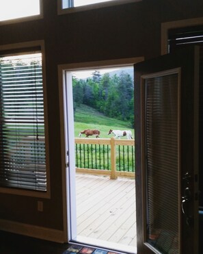 Interior - Newly Constructed Mountain Home with Garage!Wonderful Views, yet Close to Town!  (Hendersonville)