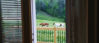 Newly Constructed Mountain Home with Garage!Wonderful Views, yet Close to Town! 