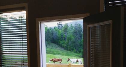 Newly Constructed Mountain Home with Garage!Wonderful Views, yet Close to Town!
