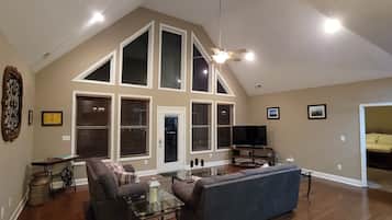 TV connectée, cheminée, lecteur de DVD, livres