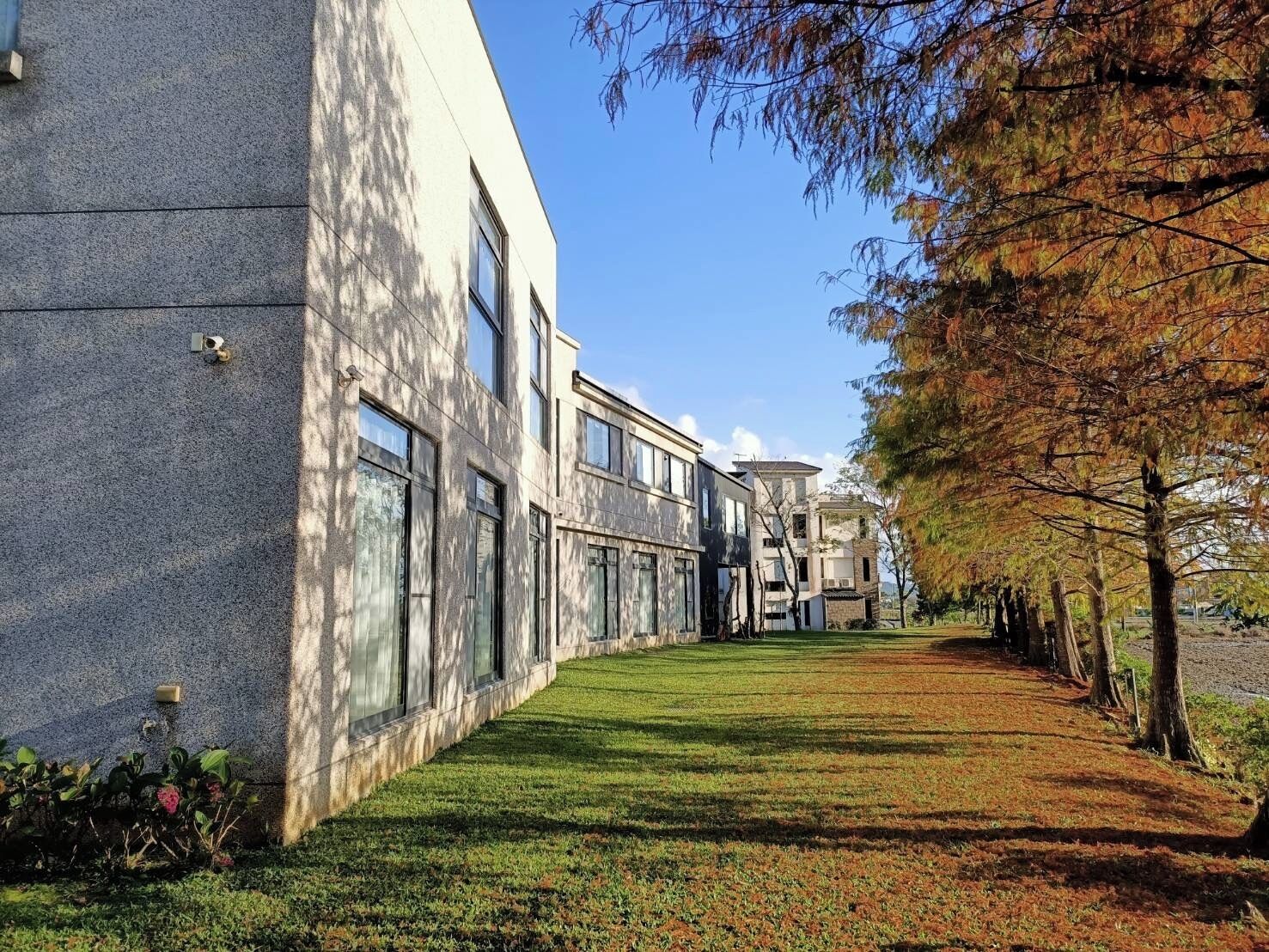 テラス / パティオ