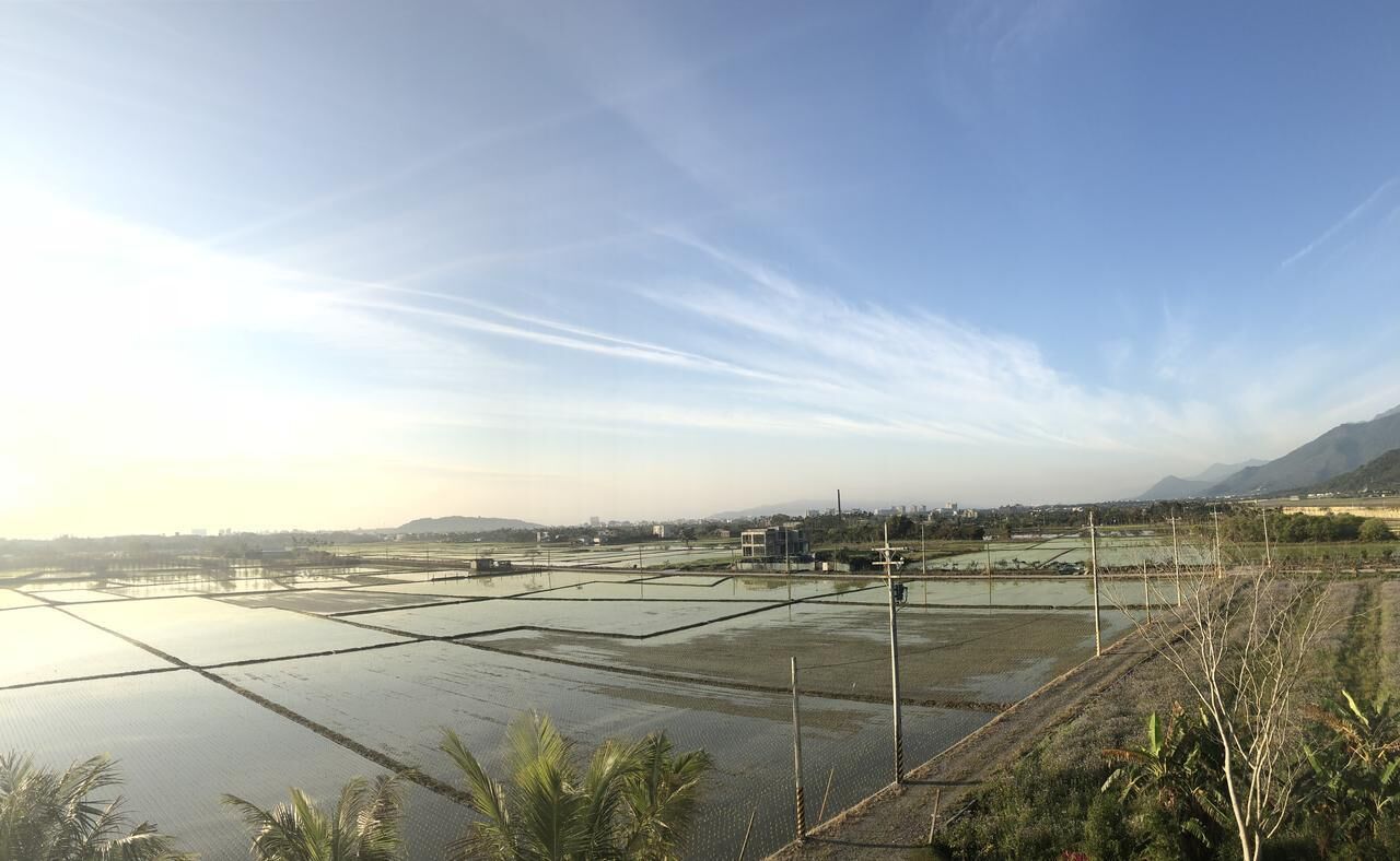 Un extenso campo de arrozales con canales de riego, rodeado de vegetación y montañas a lo lejos.