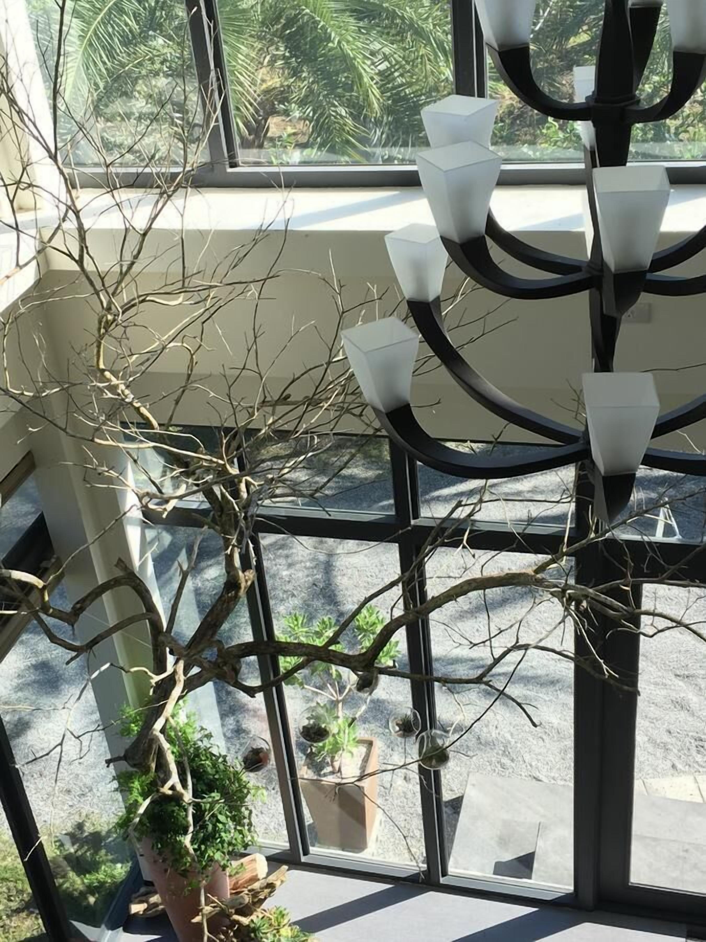 Un balcón con vista a palmeras, una planta en maceta y una lámpara moderna.