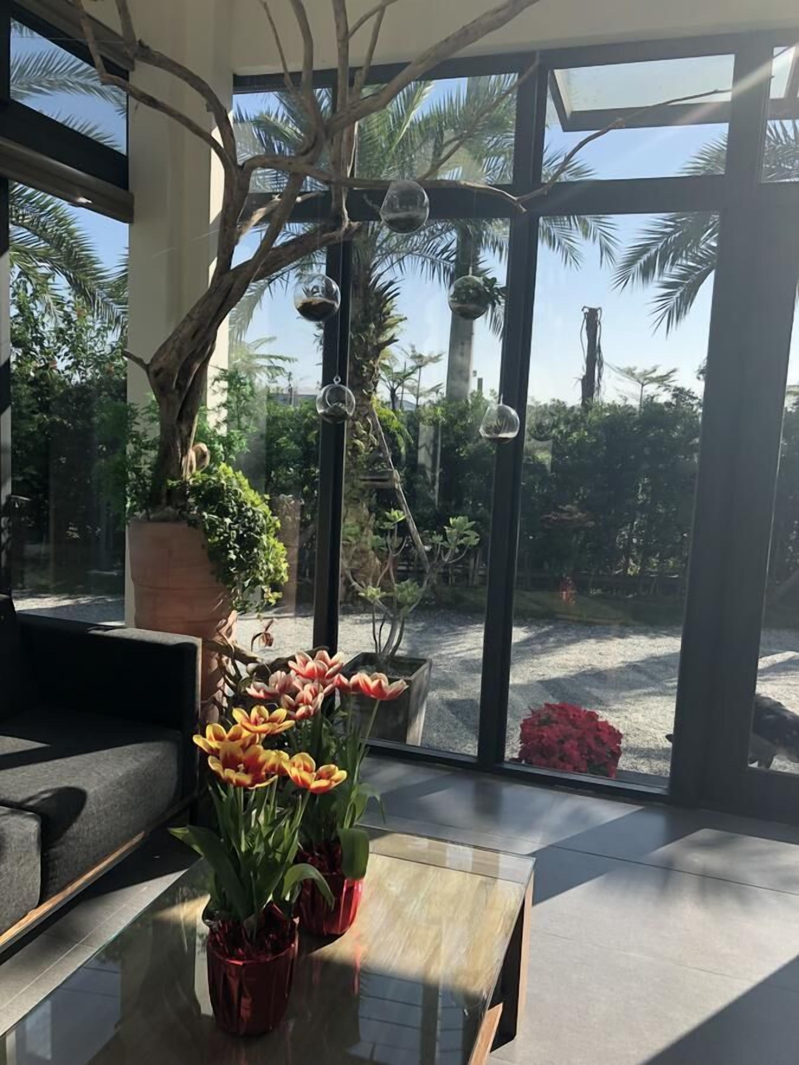 Un interior moderno con pared de vidrio, un árbol grande y plantas en macetas.
