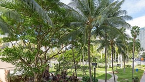 Een aangelegde tuin met palmboom, een pad en een gebouw op de achtergrond.