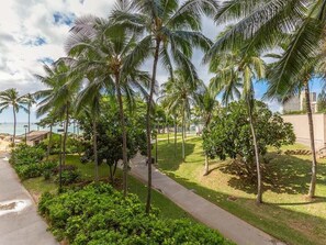 Property grounds - Open Suite w/Park View, AC,Kitchen, Flat Screen, Washer/Dryer–Waikīkī Shore 214 (HONOLULU)