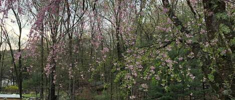 Una piscina al aire libre, una piscina climatizada