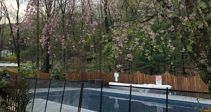 Uusi ylellinen Woodstock Secret Retreat w / lämmitetty uima-allas (vielä avoinna) ja ulkokylpytynnyri