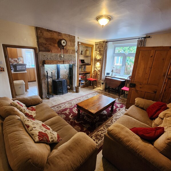 Télévision, cheminée, lecteur de DVD, livres