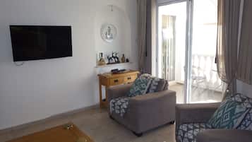 Smart TV, fireplace, DVD player, books