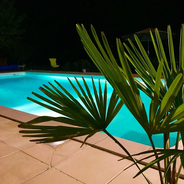 Ein Schwimmbecken mit Fliesenrand und einer Palme im Vordergrund.