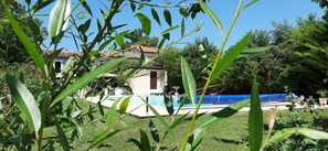 Ein Haus mit Swimmingpool, umgeben von üppiger Vegetation und blauem Himmel.