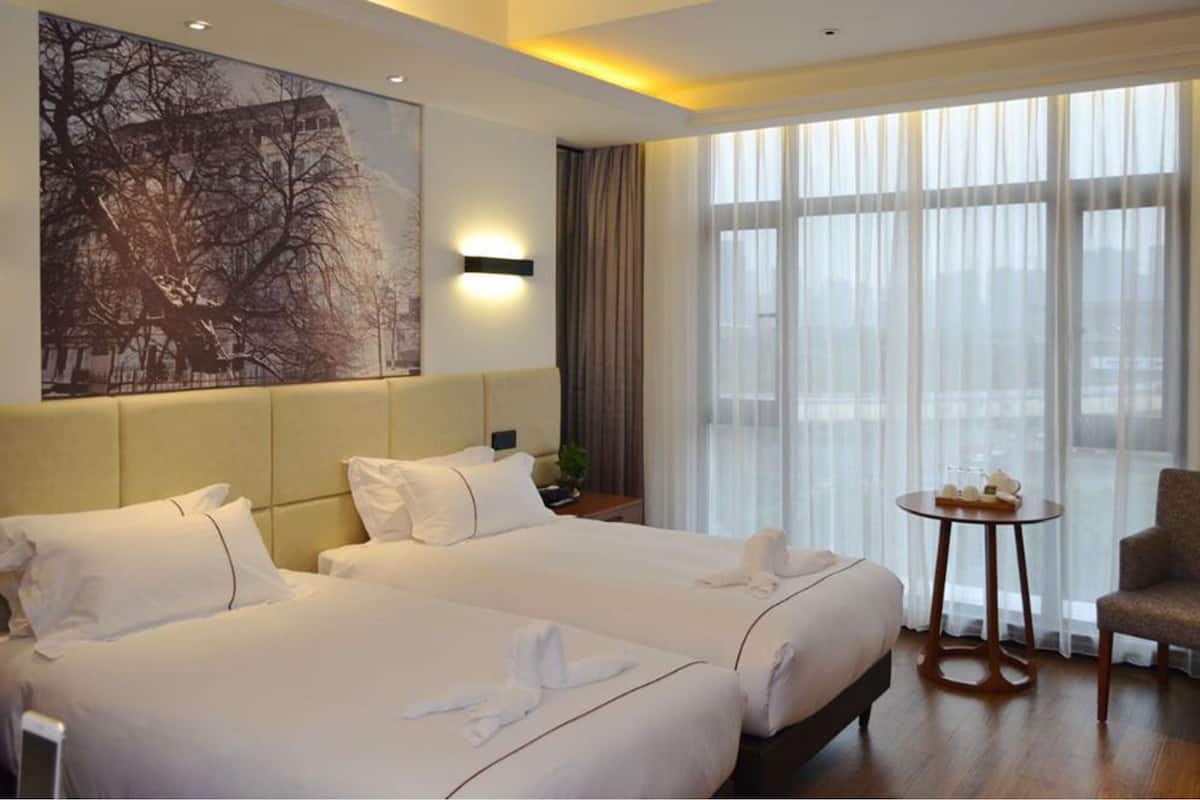 Elite Business Twin Room