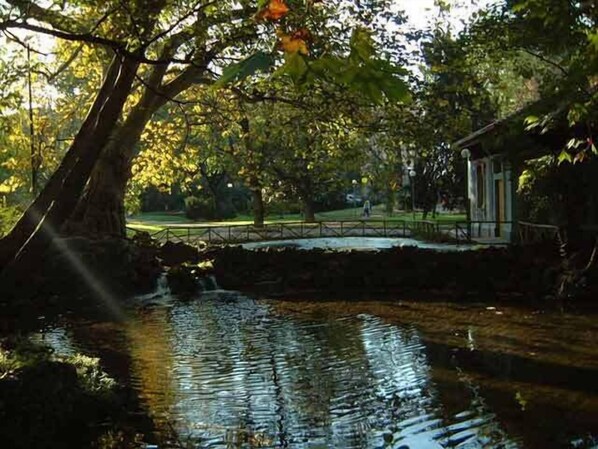 Surrounded by lush greenery, a serene water feature and stone bridge invite relaxation and contemplation.