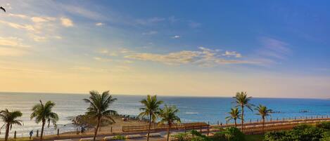 A coastal promenade with palm trees, a beach, and a view of the sea.