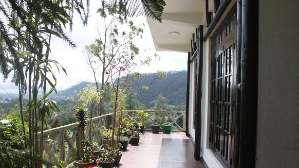 A balcony with potted plants and a view of a mountainous landscape. - chez allen (Nuwara Eliya)