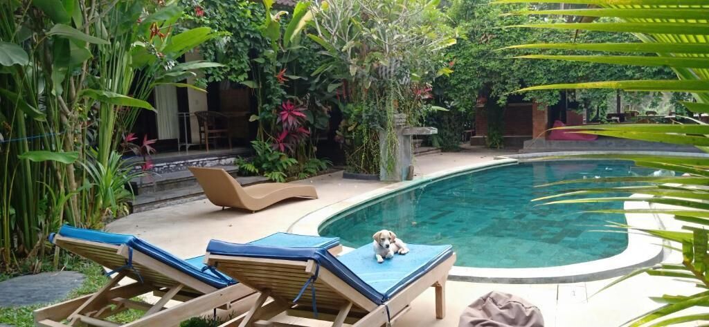 Zona junto a la piscina con sillones de descanso y una piscina pequeña.