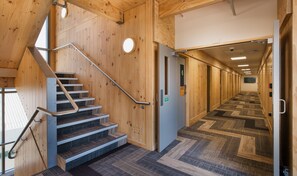 Un intérieur en bois avec un escalier, un plancher recouvert de moquette et un couloir menant à des portes.