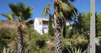Lovely house with splendid sea view in rural Serra Tavira