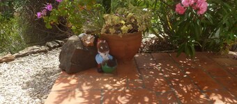 Lovely house with splendid sea view in rural Serra Tavira