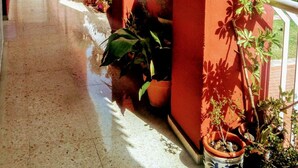 A corridor with red walls, potted plants, and a tiled floor. - Comfortable apartment renovated 2 steps from the beach (Málaga)