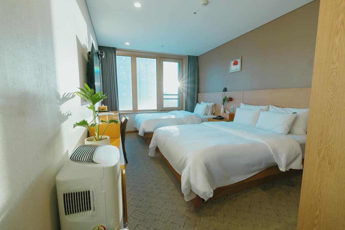 Een hotelkamer met twee bedden, een bureau, een stoel, een potplant en een groot raam.